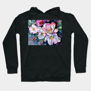 Briar cd Hoodie